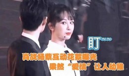 圈内爆料肖战杨紫,幕后故事曝光引热议
